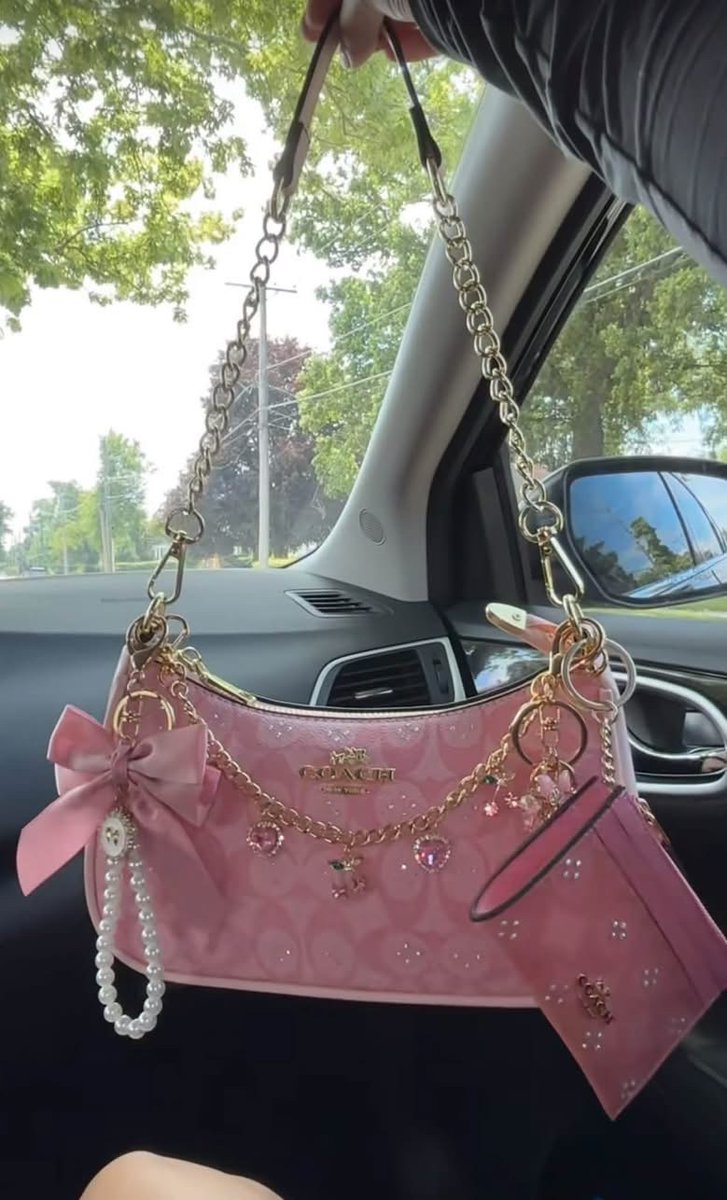 niy2pretty's tweet photo. In love with this pink Teri Coach purse 🎀🩷 https://t.co/0HBxkYiRXY