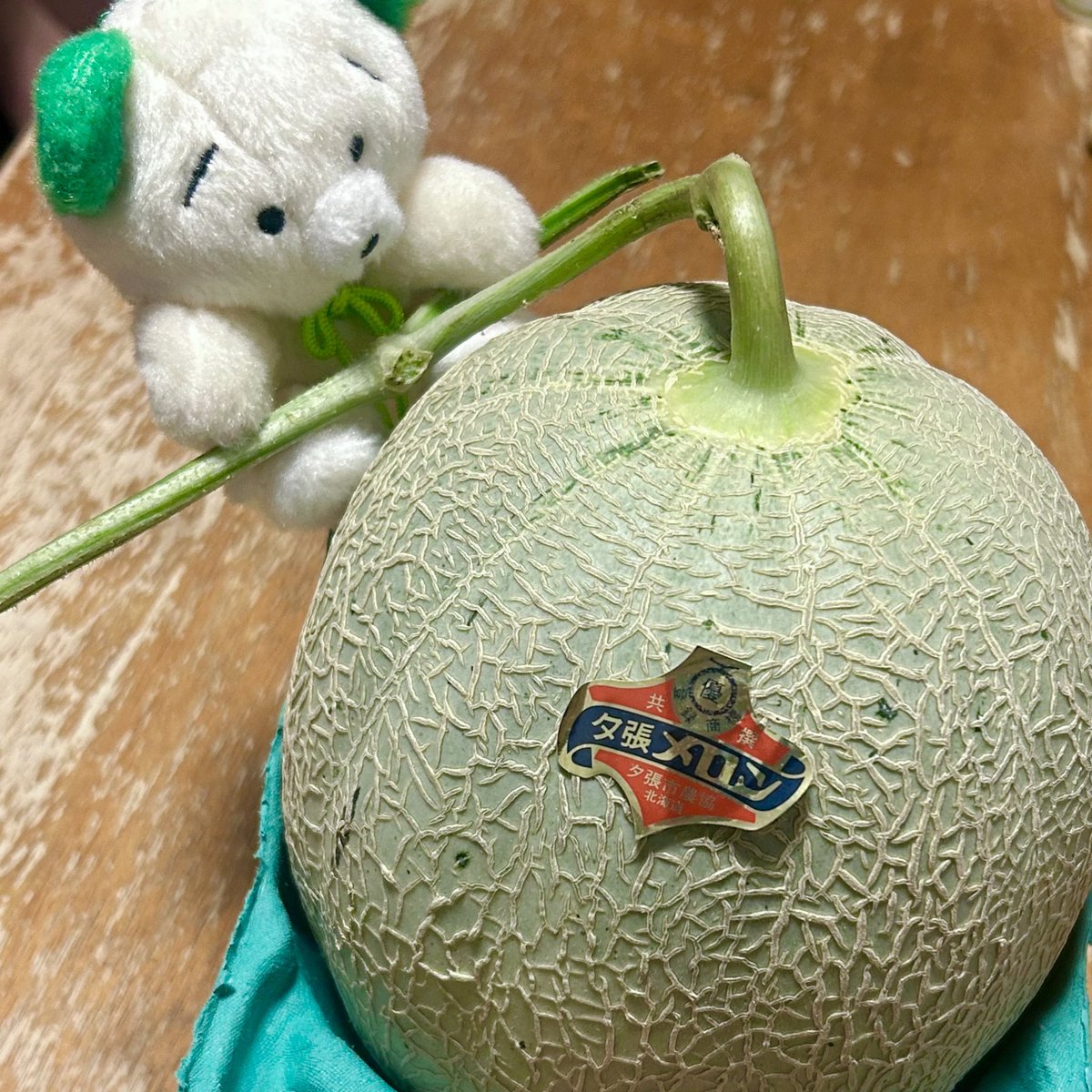 midorinokuzumi's tweet photo. 🍈<ﾒﾛﾝﾀﾞﾖ
#くずみちゃん
#ぬい活 https://t.co/Jm2l6kVccT