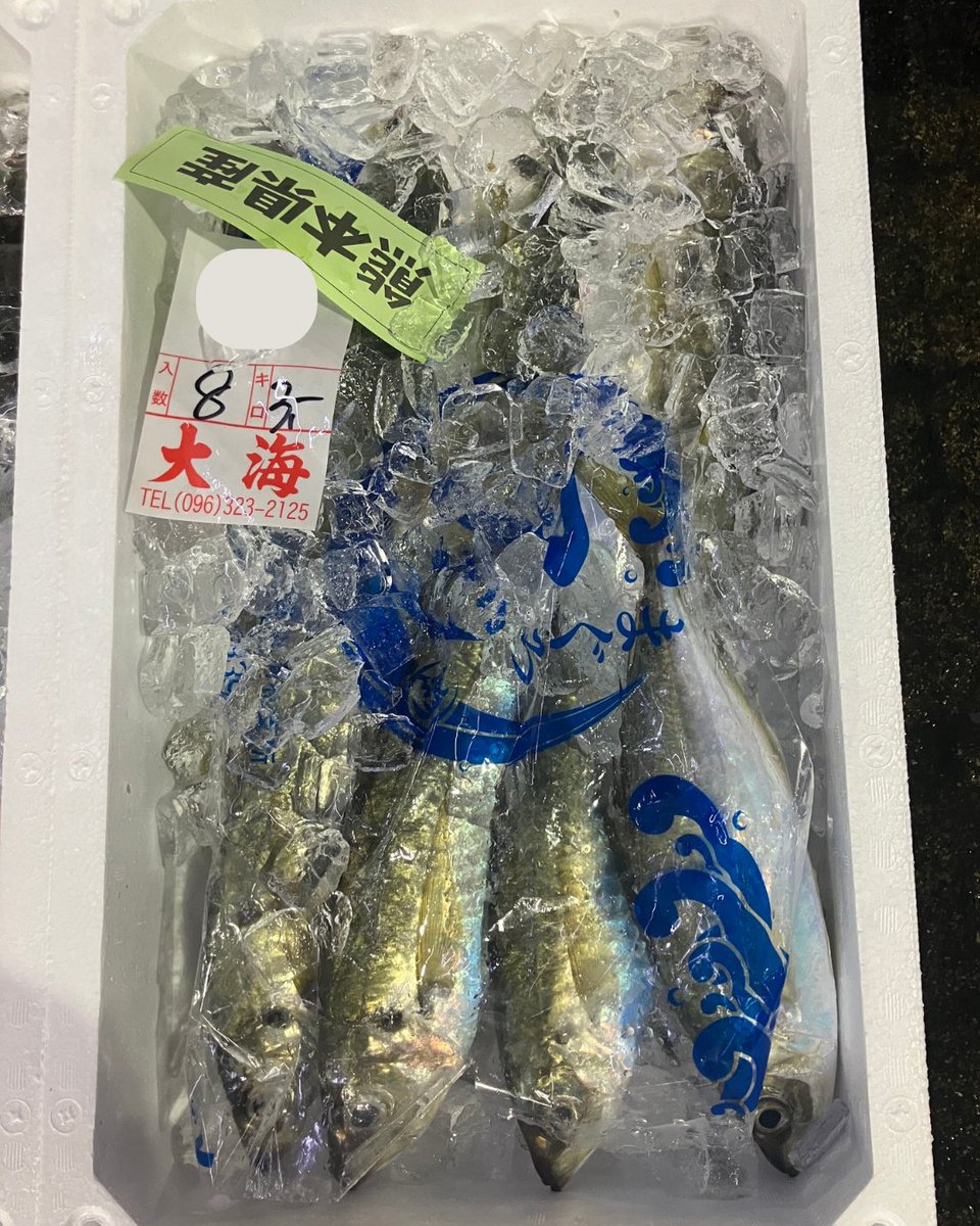 UUUOInc's tweet photo. 【ウーオ日誌更新しました✍️】 東京ドーム3.7個分！熊本・田崎市場に行ってきました🐟マグロのように脂が乗った「マグロあじ」や有明海の珍味「アナジャコ」など、熊本以外ではあまり見かけない魚種がたくさん✨熱気あふれる田崎市場の様子をご紹介します💪 https://t.co/6kUF11abOR