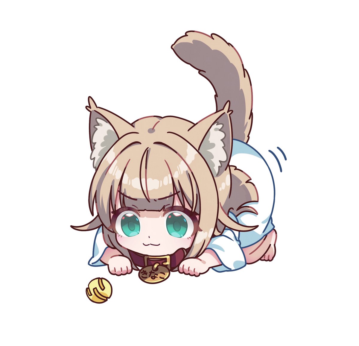 40hara's tweet photo. 遊ぶ気まんまんのきなこ🐈🐾

#うちのねこが女の子でかわいい https://t.co/XWcGS1WqVr