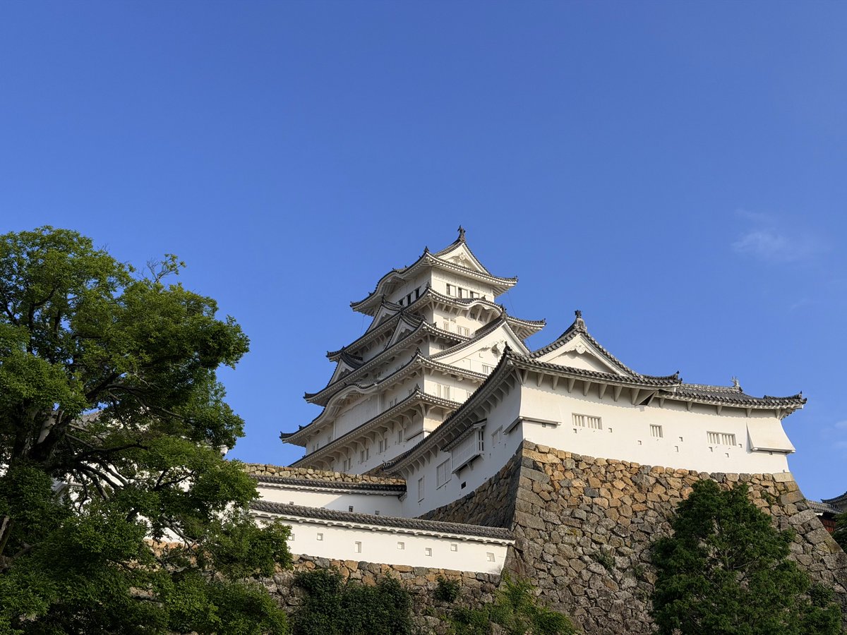 chack_med's tweet photo. 姫路🏯
アーモンドトーストをいただきました🍞 https://t.co/WML4Dm6JIn
