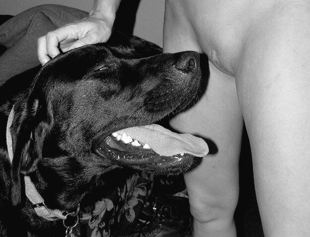 QueenSoniaef's tweet photo. Watch me live on my telegram channel for an exclusive content 🐶💕
https:https://t.co/fQJRCFzZvo
#zoophilia #bestiality #doglover #dogknotting #dogsex #knotty #dogpill #dog #puppy #dogwhore #dogwoman #transgender #LGBTQ #dogwhore #artofzoo #artofzoofirsttime
#pawlove #doglover #n https://t.co/cYwXsP2j2V