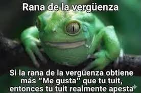 bruce211093's tweet photo. @EnriqueVonBeas Cual muerte del futbol, osea para que el futbol no muere debe pasar los mismos de siempre bobo hijo de perra, a y para que te duele esa cola MARRUECOS ACABA DE ELIMINAR A PAISES BAJOS ESTUPIDO, por cierto toma https://t.co/4oFo6n4ldw