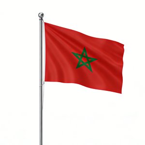 ittihady16's tweet photo. منتخب صنعه رجال ولائهم وغايتهم وجل اهتمامهم 
 فقط فقط فقط 

لهذا العلم 👇

وليس متعصبين لانديتهم كما هو الحال في رياضتنا 

مبروووك للشعب المغربي هذا المنتخب العظيم https://t.co/6HPnfofeDA