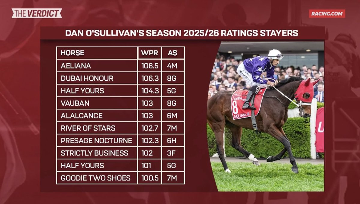 Star Thoroughbreds tweet media
