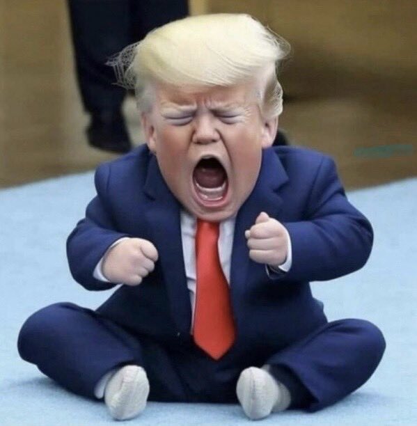 George2023K9's tweet photo. @HalfwayPost https://t.co/WjWF29Dri8