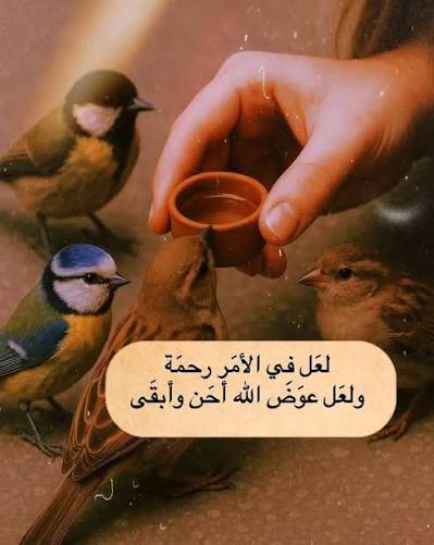 abeeralshoog69's tweet photo. https://t.co/WM5dIPz5Cg