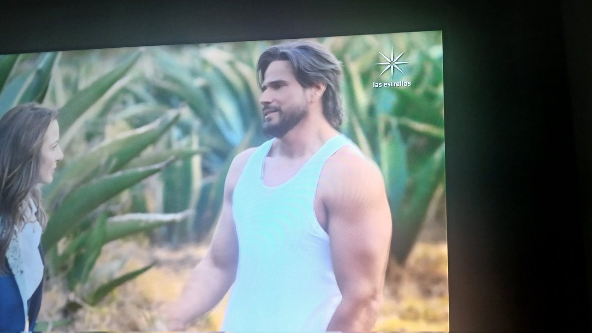 gloriatorrrez's tweet photo. Me encanta la pareja de Silvia y Daniel Arenas 😍😍#GuardianDeMiVida https://t.co/2AzOsJJqz7