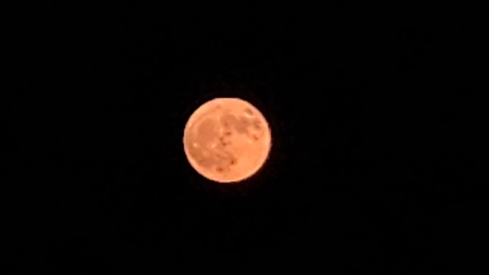 Strawberry Full Moon tonight! Have you seen it?! https://t.co/EtmGQUgkjA