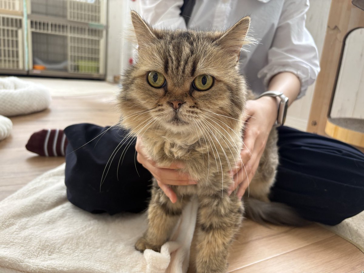 桜木町】 カフェに2年半在籍してくれたあやこちゃんがトライアルに出発