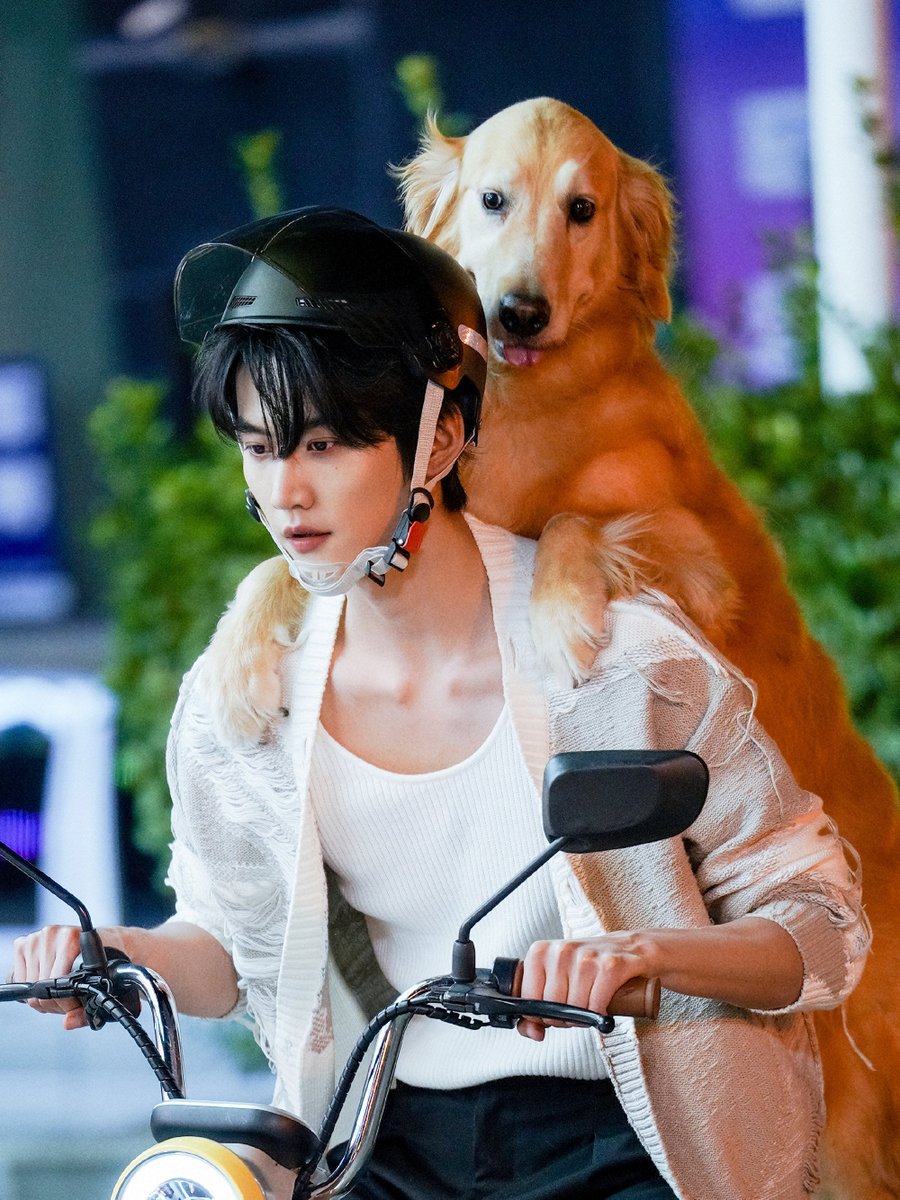 forDanielz_th's tweet photo. —— 🌌🚀👩🏻‍🚀 ——
『30.06.26』
嘉行新悦周柯宇工作室’s weibo update

ลู่ซีเซียว #โจวเคออวี่ 6️⃣ “นับจากนี้ไป เดินไปข้างหน้า และก้าวให้สูงขึ้น”

📎https://t.co/JoMpTmdqM5

#NeverEndingSummer #ฤดูร้อนนิรันดร์ 
#周柯宇 #Zhoukeyu #DanielZhou https://t.co/gIsOQVUykv