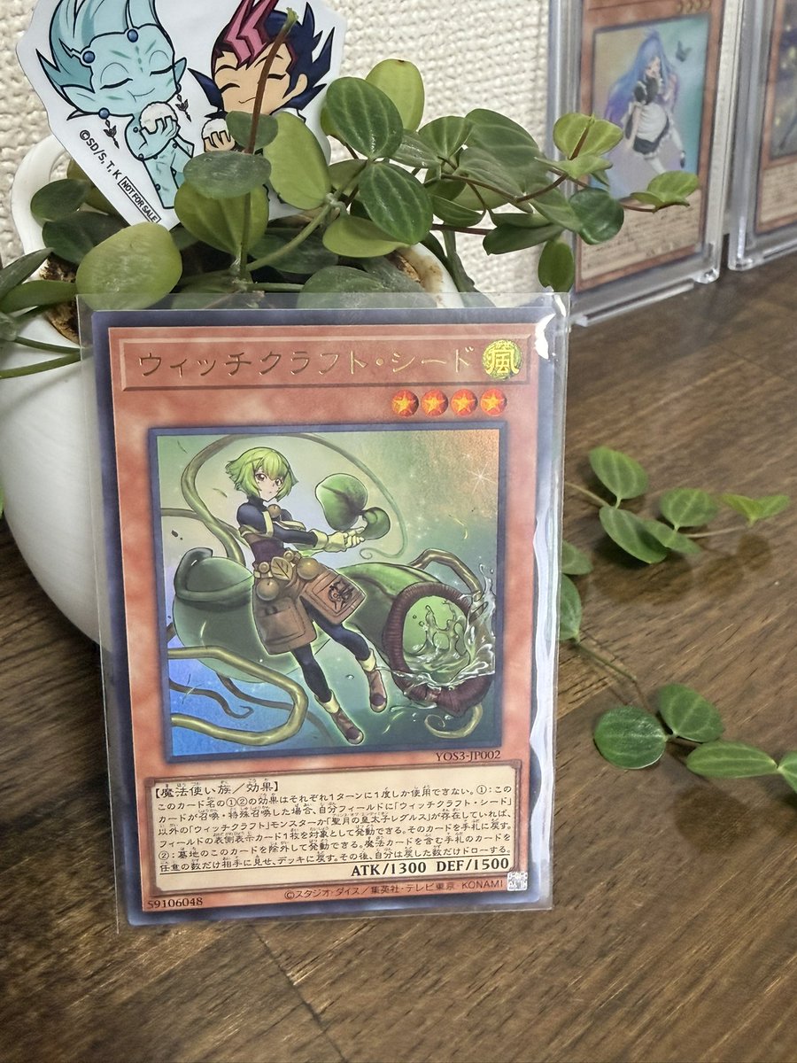 325nao2024's tweet photo. 7月3日発売。
OCG STORIES7巻の見本誌が到着♪
緑が映える綺麗なデザイン。
デザイナー様にはいつも感謝しております😌
シードも可愛い。 https://t.co/YZBA3U0y98