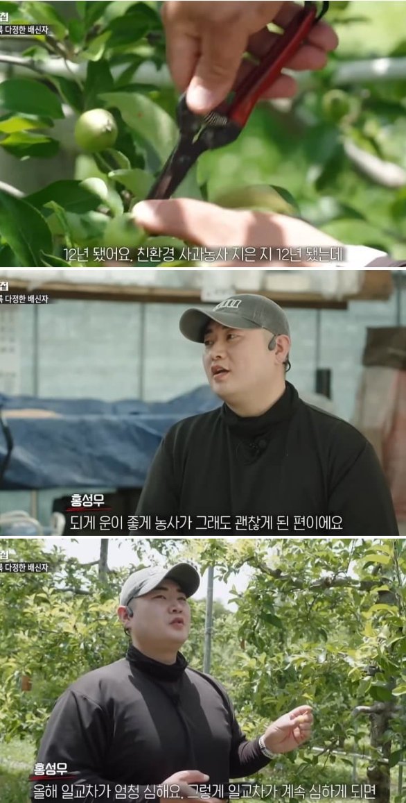 백억이 tweet media