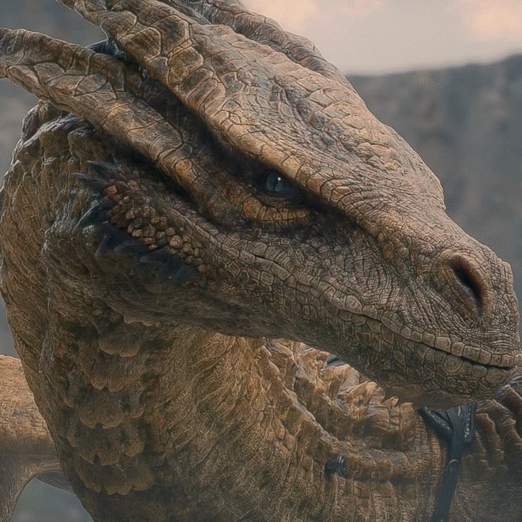 lorxell's tweet photo. Can we talk about how Caraxes and Syrax literally had a whole dragon family, only for the Targaryens to drag them into their mess and get their babies killed?

Where's the justice for the dragons? https://t.co/sa9nFZgM69