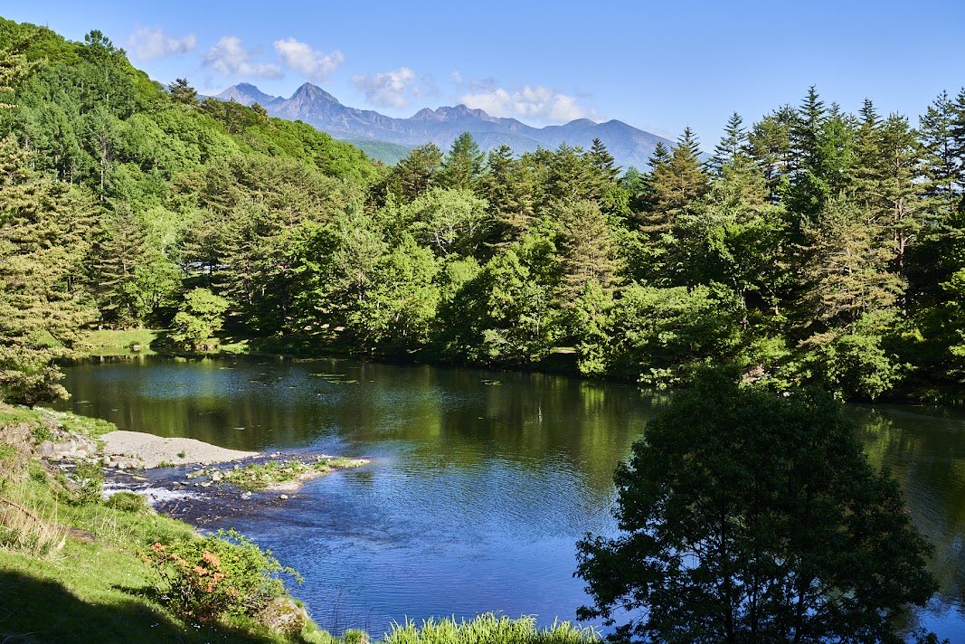 TokyuResortCorp's tweet photo. 【蓼科】東急リゾートタウン内のからまつ池
 
【Tateshina】 "Karamatsu pond" in Tokyu Resort Town Tateshina https://t.co/XDyLghwVqY