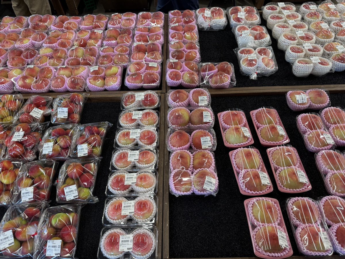 michinoeki923's tweet photo. 🍑🍑🍑🍑🍑🍑🍑🍑🍑🍑
🍑🍑🍑🍑🍑🍑🍑🍑🍑🍑
🍑🍑🍑🍑確🍑🍑🍑🍑🍑
🍑🍑🍑🍑変🍑🍑🍑🍑🍑
🍑🍑🍑🍑中🍑🍑🍑🍑🍑
🍑🍑🍑🍑🍑🍑🍑🍑🍑🍑
🍑🍑🍑🍑🍑🍑🍑🍑🍑🍑
🍑🍑🍑たすけて☺️🍑🍑🍑

 #あつかしの桃2026 https://t.co/CaQKjgGadf