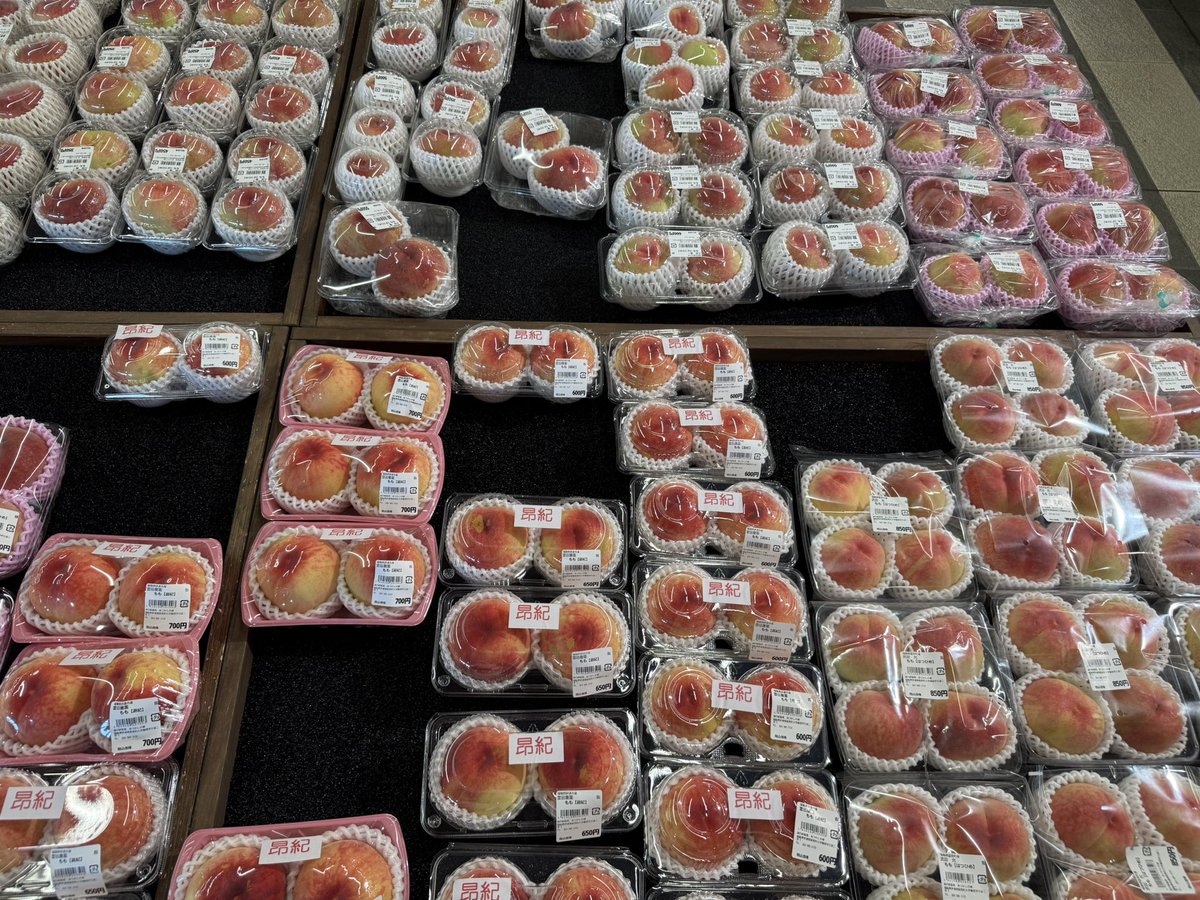 michinoeki923's tweet photo. 🍑🍑🍑🍑🍑🍑🍑🍑🍑🍑
🍑🍑🍑🍑🍑🍑🍑🍑🍑🍑
🍑🍑🍑🍑確🍑🍑🍑🍑🍑
🍑🍑🍑🍑変🍑🍑🍑🍑🍑
🍑🍑🍑🍑中🍑🍑🍑🍑🍑
🍑🍑🍑🍑🍑🍑🍑🍑🍑🍑
🍑🍑🍑🍑🍑🍑🍑🍑🍑🍑
🍑🍑🍑たすけて☺️🍑🍑🍑

 #あつかしの桃2026 https://t.co/CaQKjgGadf