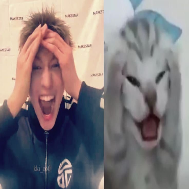 twlipans's tweet photo. cómo se sentirían si su pareja les regala un álbum de un grupo que no stanean (y además saben que ustedes no stanean girl groups y siempre repiten sus artistas favoritos) además de photocards fanmades de su “bias” pero son hechas con ia entonces esa persona no existe? https://t.co/5saR1PP0Ls