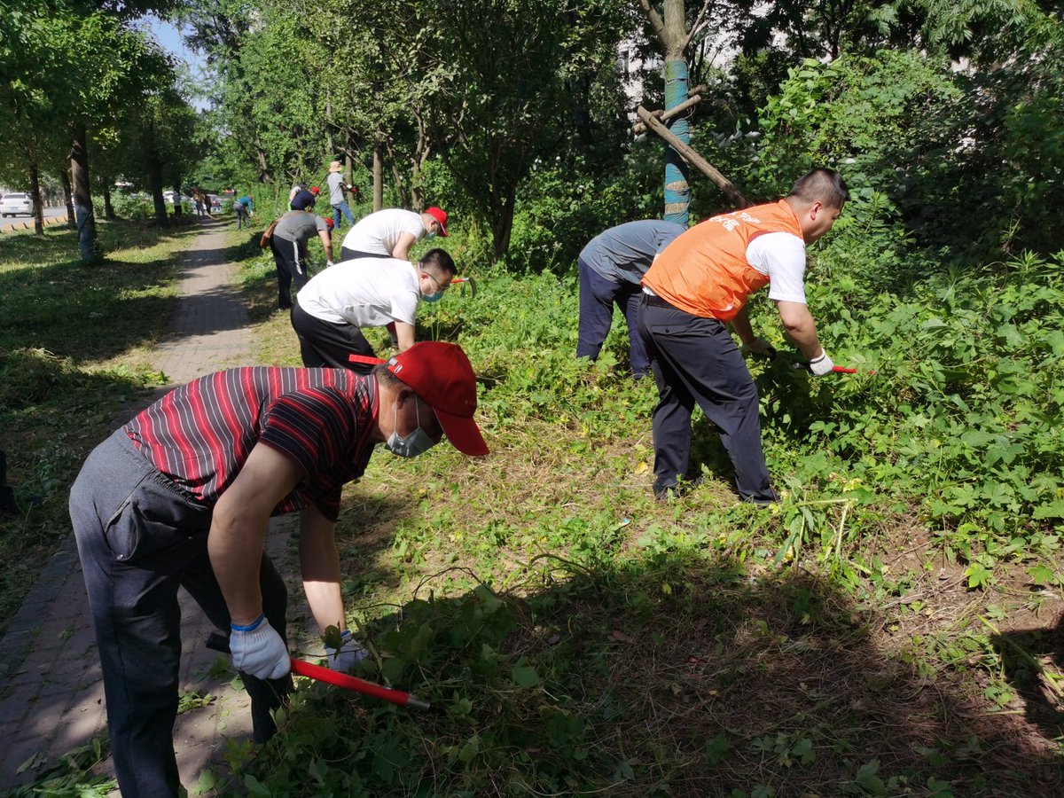 SamuelSw9576's tweet photo. Come join our community garden cleanup this Saturday! Let’s spruce up our shared green space, make new friends, and enjoy fresh air together. Bring gloves if you have them—all tools are provided! https://t.co/u71lww1onw