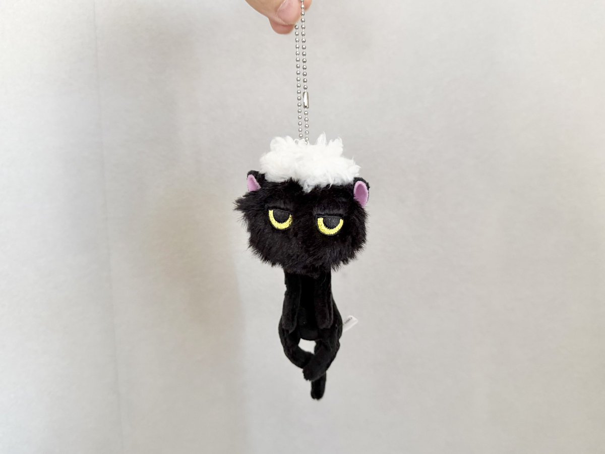 sekonao's tweet photo. 「洗われた猫ぬいぐるみ」の発売日が決定しました。
7月21日より順次発売予定となります。

あの「なつかない猫」たちが洗われてしなしなに！
あわれな虚無顔、濡れそぼったほっそりボディの猫たちを干しちゃって！

#洗われた猫　#なつかない猫　#ガチャ
@Qualia_45_ https://t.co/mEip8DVq0N