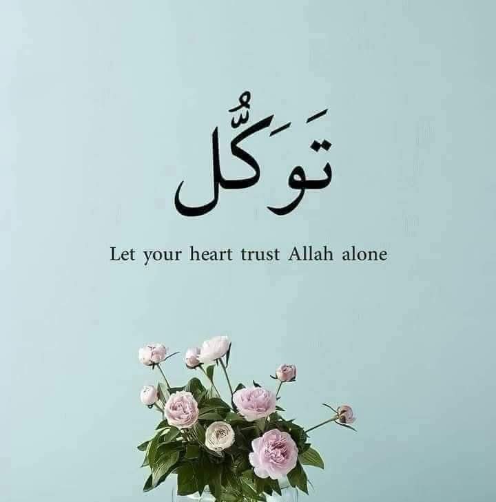 گُل🍀 tweet media
