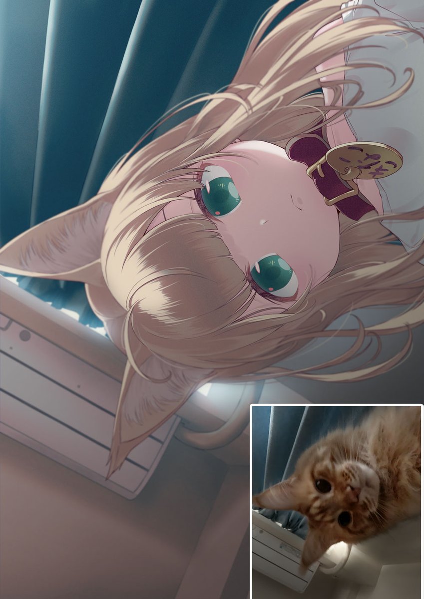 にゃんこモーニング🐈 