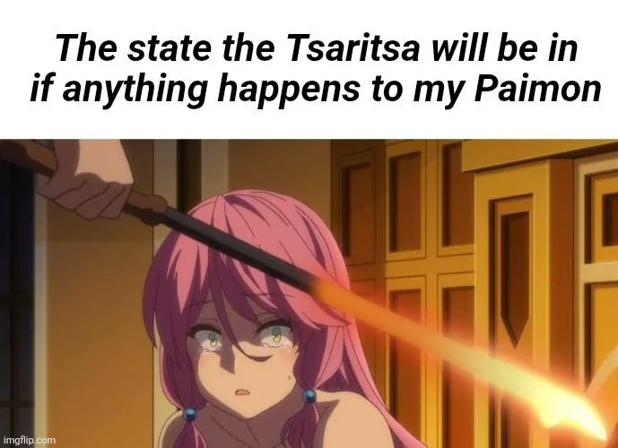 Aether004's tweet photo. No one touches Paimon or else... https://t.co/4Edt0KcjuL