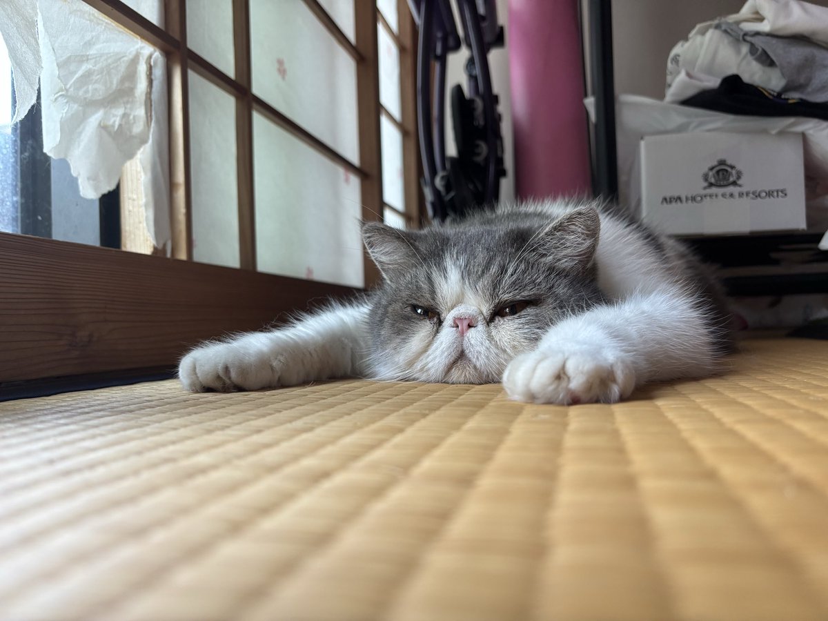 Tanzanite_raMu's tweet photo. 厭だ厭だ仕事行きたくない帰りたい https://t.co/b6H4ZOIHRx