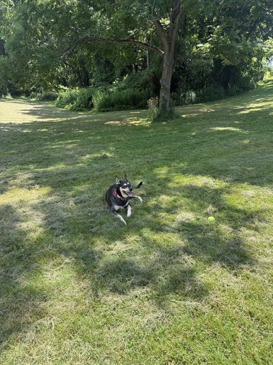 tobyrand's tweet photo. Took my dog to the State Fair today. 
All ourselves. #statefair https://t.co/3VFMFijqkD