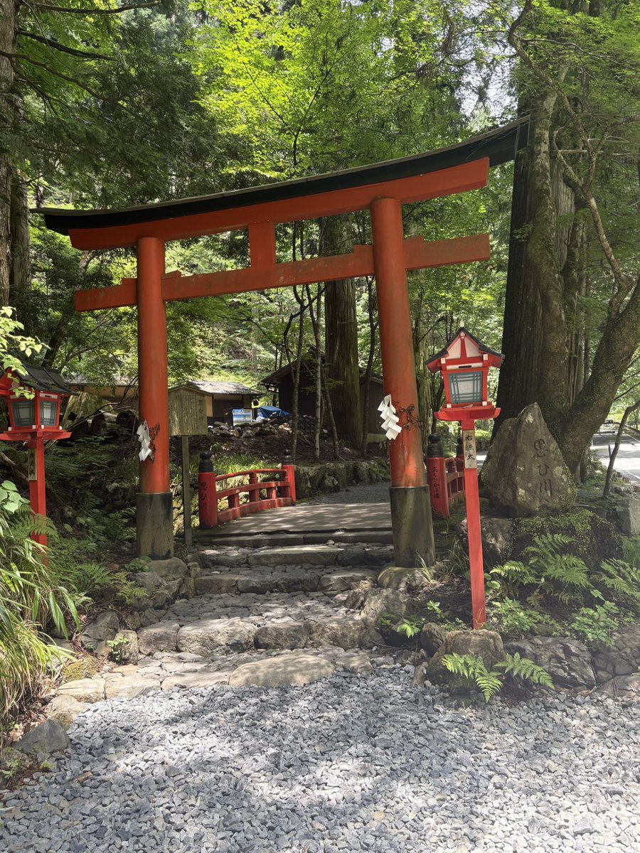 ROYfni's tweet photo. 🌳⛩
 #神社 #自然 #バイク https://t.co/05LRXrnWfG