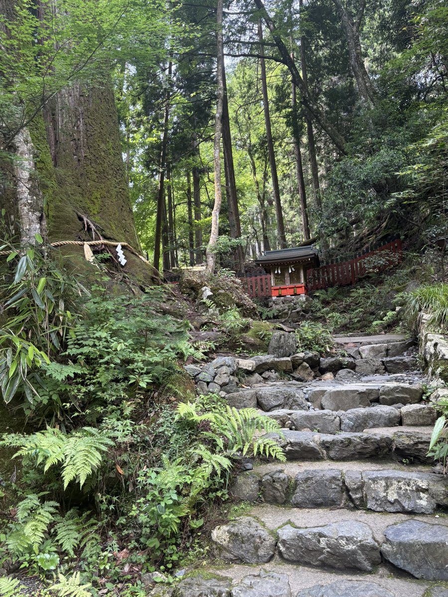 ROYfni's tweet photo. 🌳⛩
 #神社 #自然 #バイク https://t.co/05LRXrnWfG