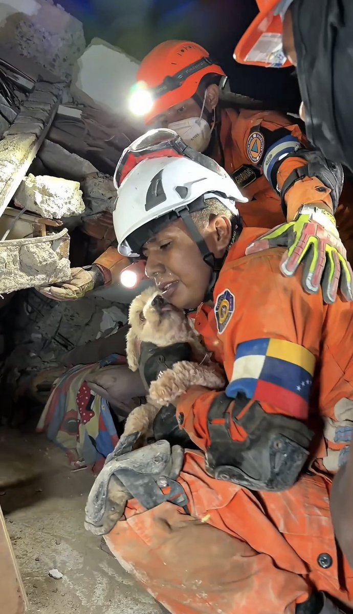 SivarNewsSV's tweet photo. 🔴 RESCATISTAS SALVADOREÑOS RESCATAN A GISELLE TRAS CINCO HORAS DE INTENSO TRABAJO EN VENEZUELA

🐕🇻🇪 Luego de cinco horas de labores, los equipos salvadoreños lograron rescatar con vida a Giselle, una perrita que permanecía atrapada en la Residencial El Palmar, en Caraballeda.

🦺 Tras ponerla a salvo, los rescatistas hicieron un llamado para localizar a sus propietarios.

📸 Si alguien es el dueño de Giselle, puede acercarse a los equipos desplegados en la zona y presentar fotografías o videos que permitan comprobar su pertenencia, informó el Presidente Nayib Bukele.