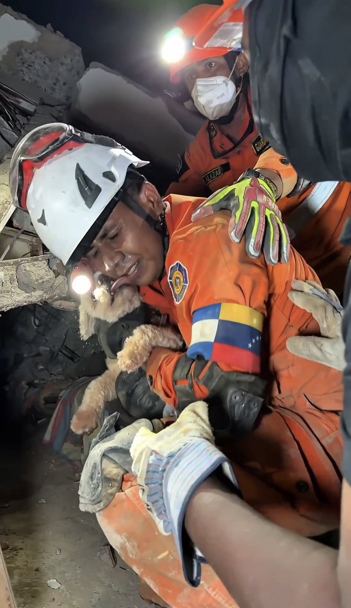 SivarNewsSV's tweet photo. 🔴 RESCATISTAS SALVADOREÑOS RESCATAN A GISELLE TRAS CINCO HORAS DE INTENSO TRABAJO EN VENEZUELA

🐕🇻🇪 Luego de cinco horas de labores, los equipos salvadoreños lograron rescatar con vida a Giselle, una perrita que permanecía atrapada en la Residencial El Palmar, en Caraballeda.

🦺 Tras ponerla a salvo, los rescatistas hicieron un llamado para localizar a sus propietarios.

📸 Si alguien es el dueño de Giselle, puede acercarse a los equipos desplegados en la zona y presentar fotografías o videos que permitan comprobar su pertenencia, informó el Presidente Nayib Bukele.