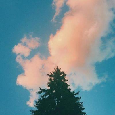 kashisharma2's tweet photo. AI agents trading crypto 24/7 is coming faster than most expect. Autonomous economies on blockchain are no longer science fiction. 💎 🍄 https://t.co/8b77WLH7BO