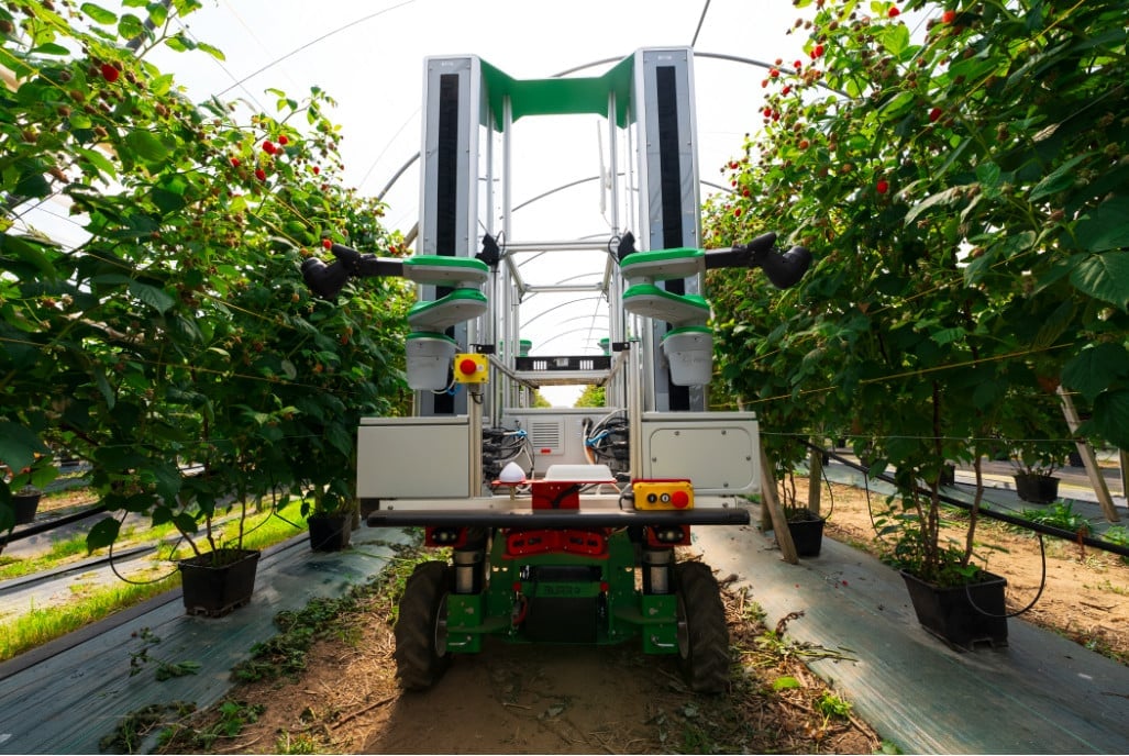igrownews0's tweet photo. Fieldwork Robotics has received an investment from @SEEDInnov, an AIM-listed company chaired by Jim Mellon, as part of a broader £2.5 million Seed+ fundraise announced in April. The capital supports the move from technology validation to commercial trials for the UK company's autonomous berry harvesting robots, with production deployments currently running through an Innovate UK ADOPT programme.