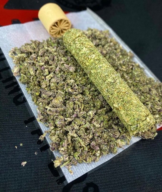 MilesVerno69542's tweet photo. Larry Bird 🍀🏀
- AKA Gelato #33
- Sunset Sherbet x Thint Mint GSC
- Loud Gas 10/10 👃 
-Exotic 🏆

Check out our website and #Tapin asap 

https://t.co/eA9lu4Nn0O

#cannabis #usa #worldcup #cr7 #messi https://t.co/cqPS9TERQo