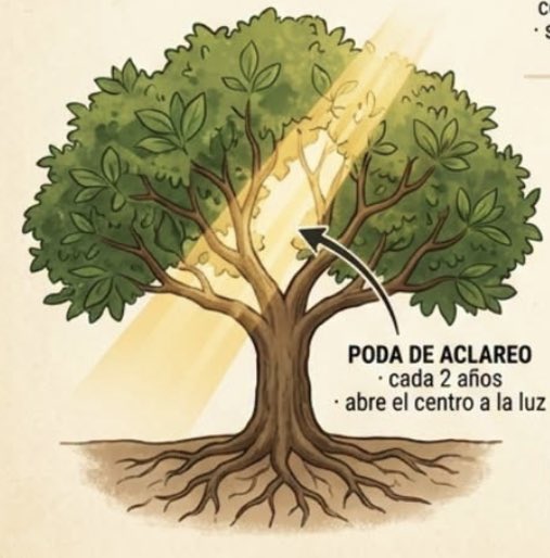 estorboscopio's tweet photo. https://t.co/2Y3lE6gVAR