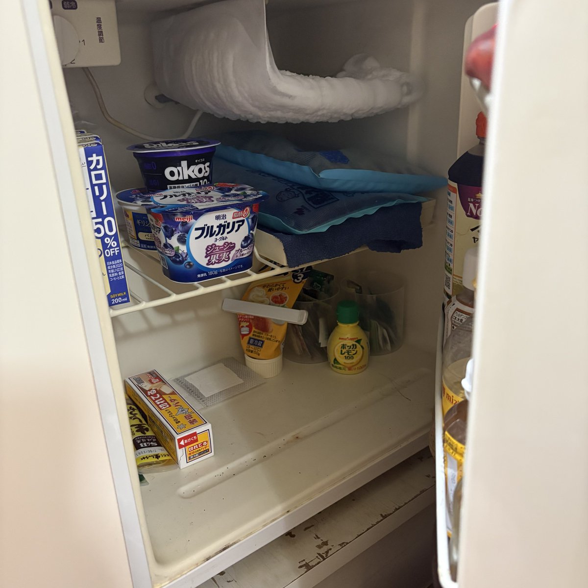 今のが綺麗だからやり直させて！！！ 棚あってこれ以上冷蔵庫の扉開か 