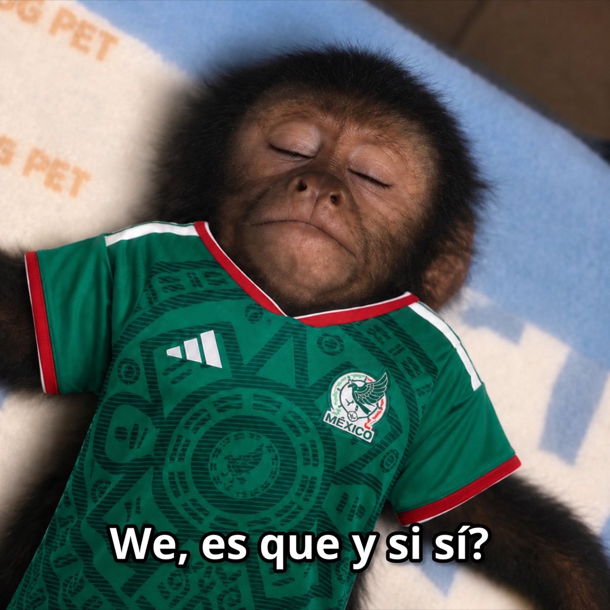 Guarromantico_'s tweet photo. Ya me ilusioné. https://t.co/RxhrnkiShy