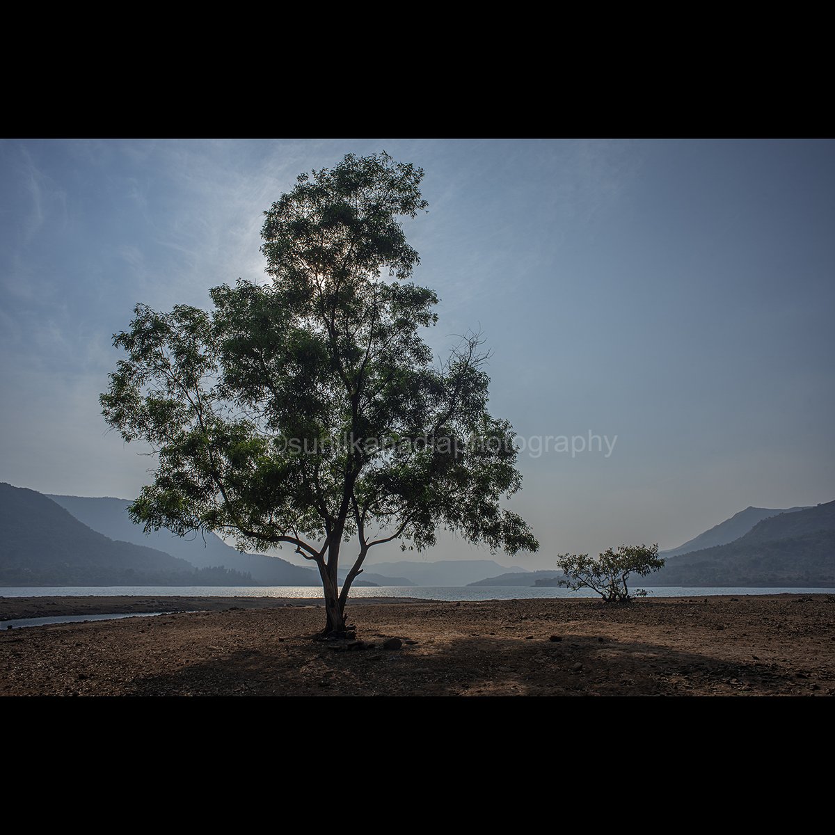 SunilKapadia19's tweet photo. _SSK6102 Boasting Dominance
Buy This Photo Art Print
#boasting #dominant #color #colorphotography #landscape #landscapephotography #colorlandscape #colorlandscapephotography #huge #tree #small #lake #water #mountains #clouds #sky #nature #element #Mulshi #Pune #Maharashtra #India https://t.co/1tPsDmfQuP