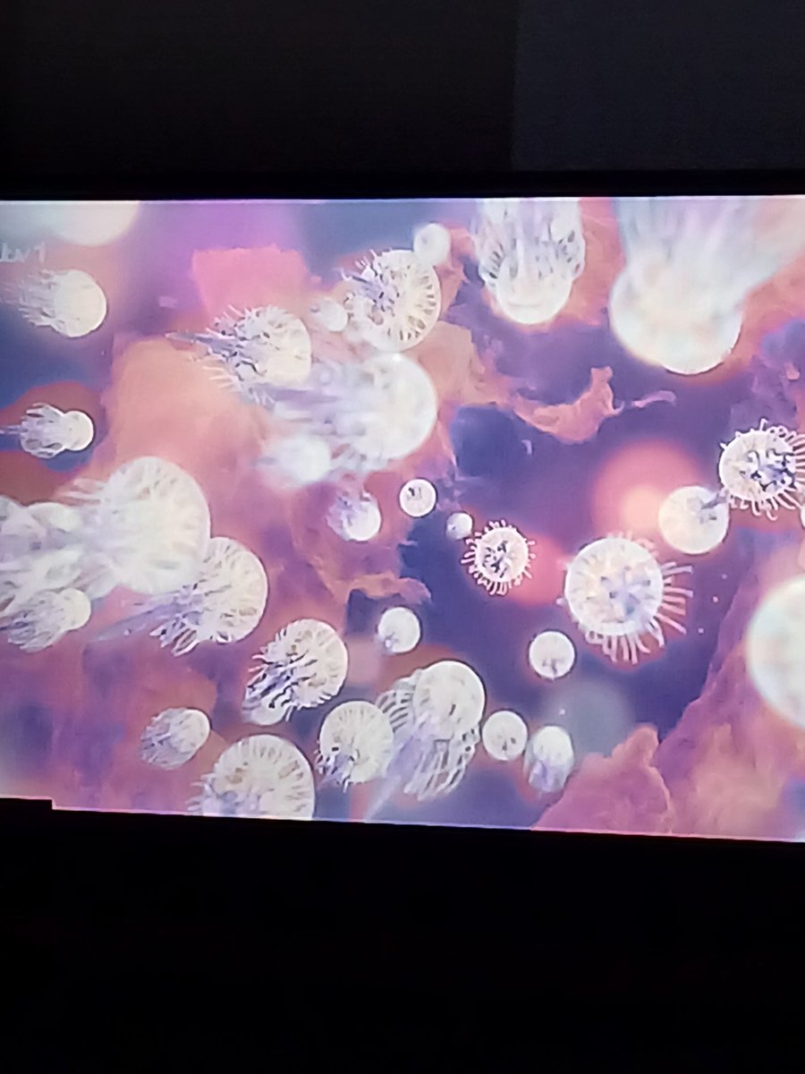 SamHardylol's tweet photo. Finished the world cup games and now jellyfish is on my screen with harmonising music as the next thing on
This shits relaxing https://t.co/VNvxAgg3qI