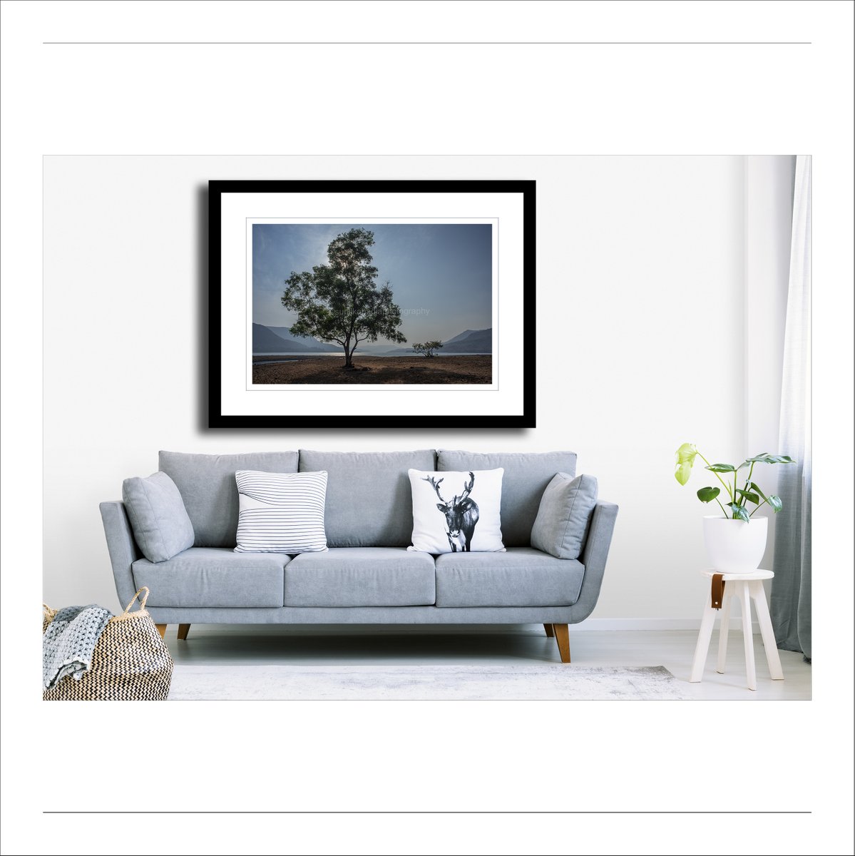 SunilKapadia19's tweet photo. _SSK6102 Boasting Dominance
Buy This Photo Art Print
#boasting #dominant #color #colorphotography #landscape #landscapephotography #colorlandscape #colorlandscapephotography #huge #tree #small #lake #water #mountains #clouds #sky #nature #element #Mulshi #Pune #Maharashtra #India https://t.co/1tPsDmfQuP