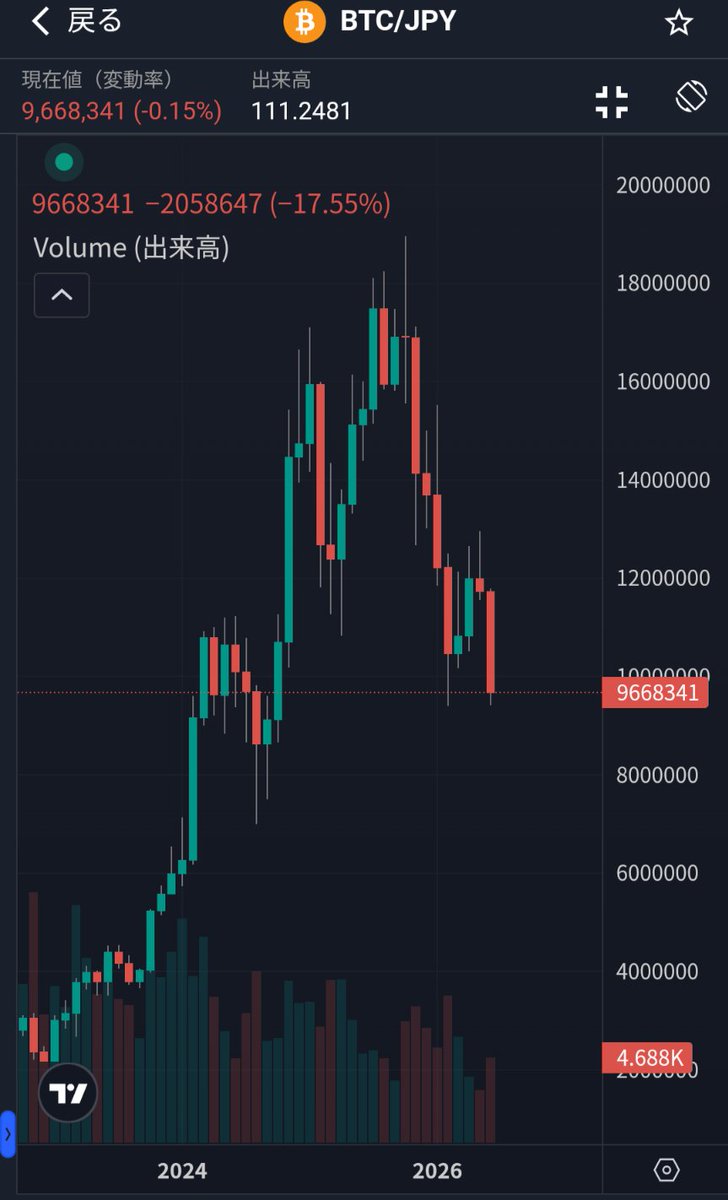 teriteritoushi's tweet photo. ビットコインって本当に1枚1億円いくんですか？ https://t.co/v20FtgCgxy