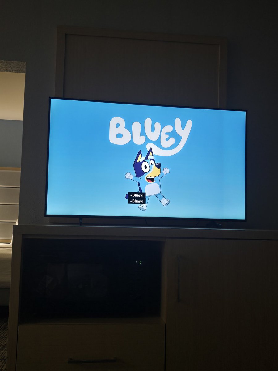 bludanzer22's tweet photo. Today was the best day ever! I married my best friend. And now we are at the hotel. Watching @OfficialBlueyTV because life is better with bluey. #officiallyMrs https://t.co/aCpiCsjYNV