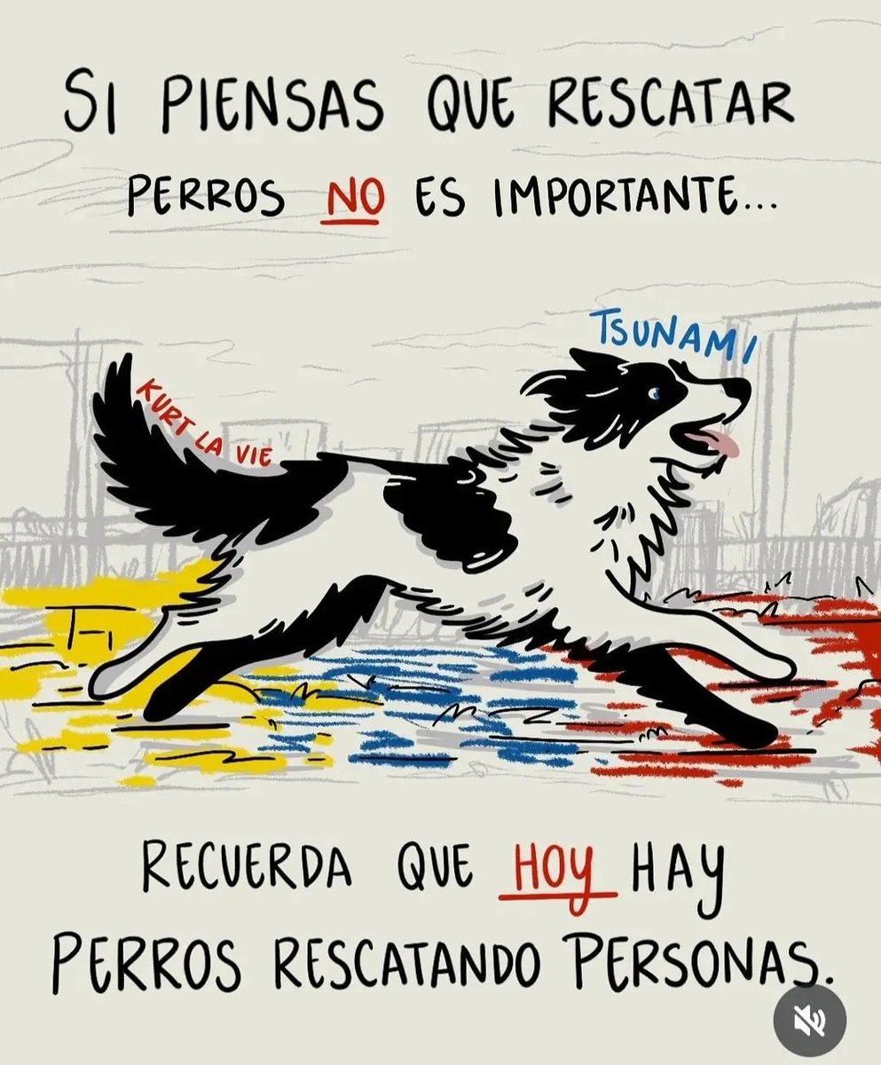 BebaCarrero07's tweet photo. https://t.co/RUO9xz3BEV