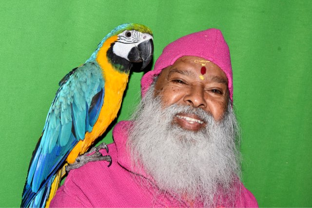 SGSBirds's tweet photo. https://t.co/7xUo6VrVIQ