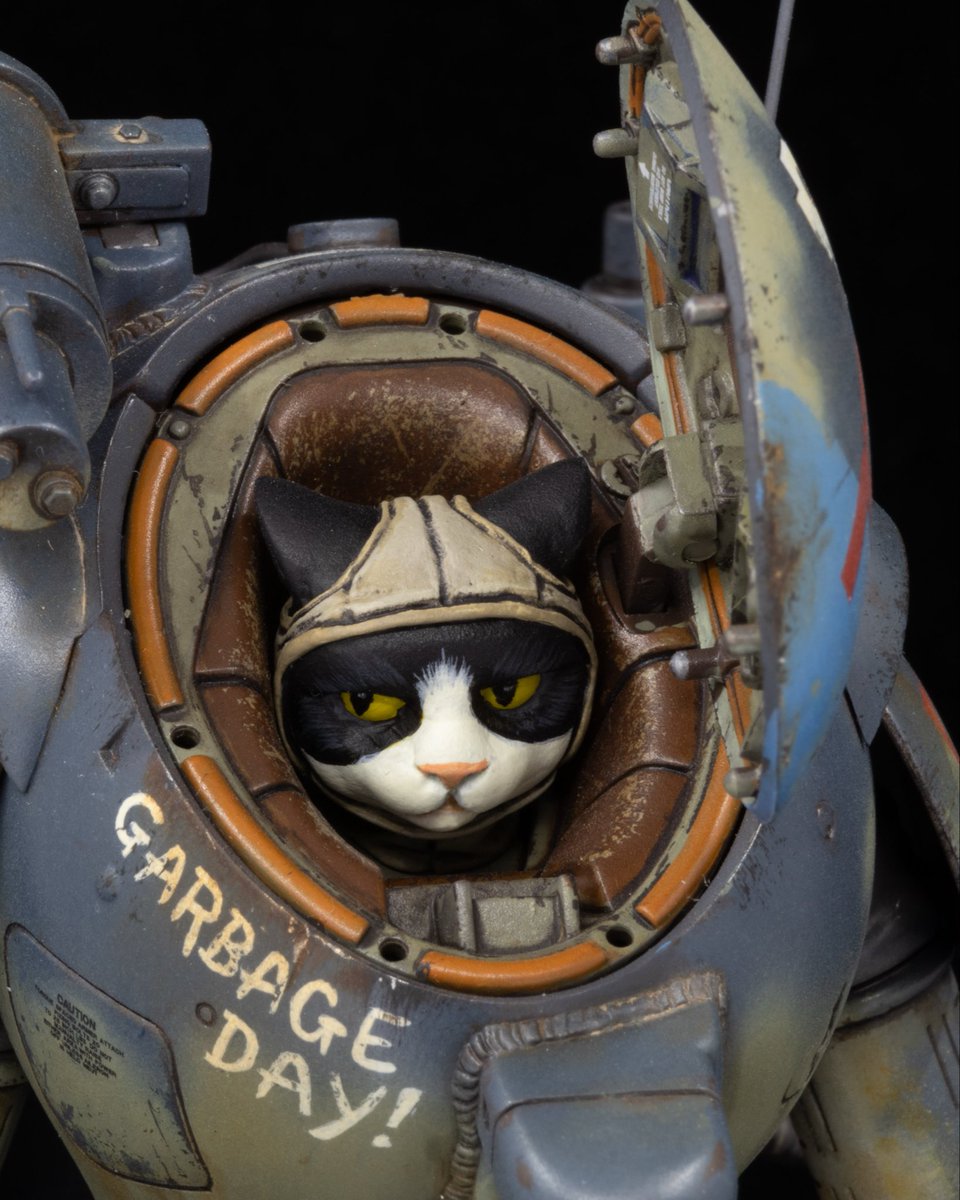 its_jmello's tweet photo. Detail shots of the cat pilot https://t.co/YIFUA6UUvt