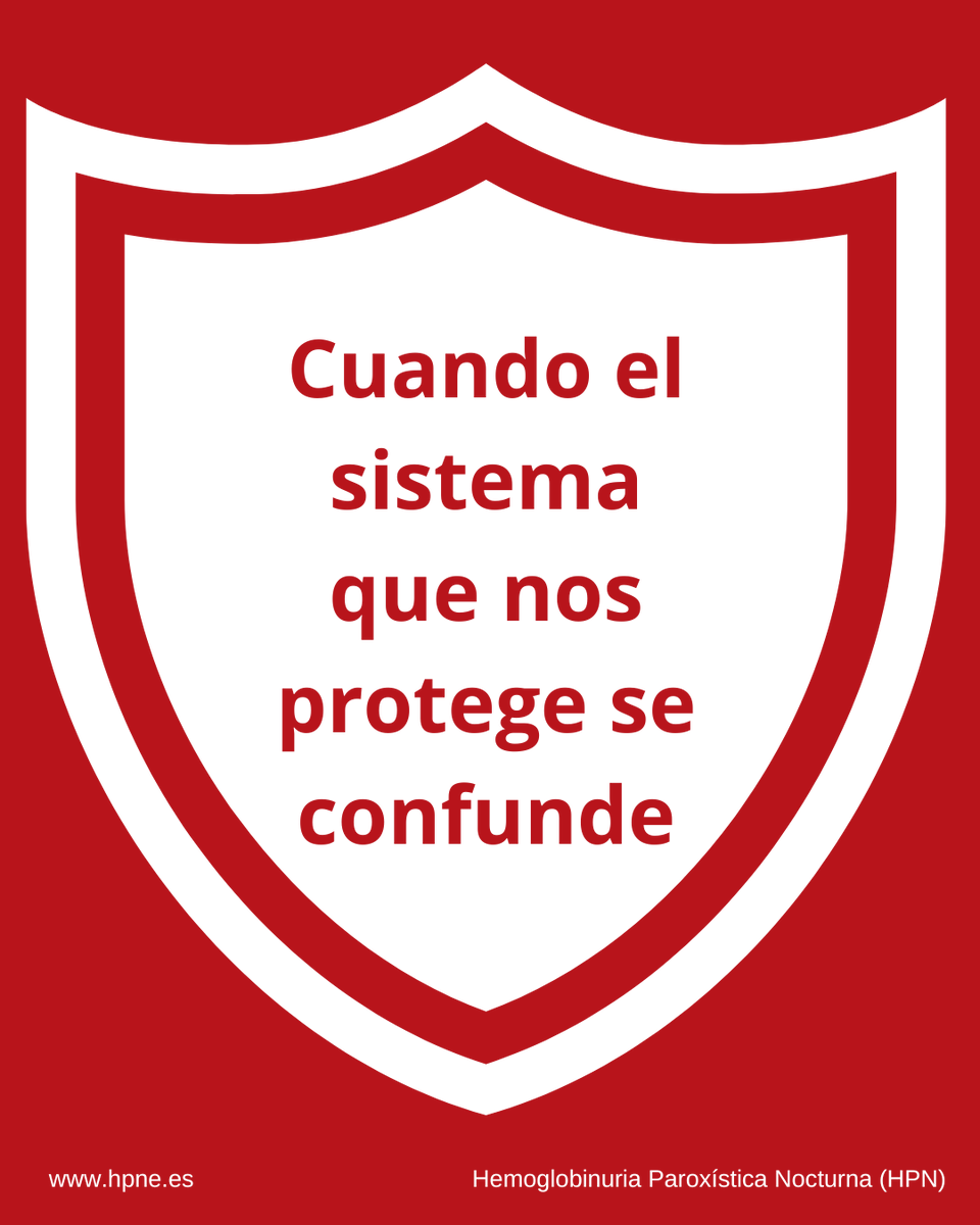 hpn_asociacion's tweet photo. En la HPN, el sistema del complemento confunde los glóbulos rojos con células dañadas y los ataca. Infecciones o estrés pueden intensificar esa activación y agravar los síntomas. 🔬
#Noscomplementamos #HPN https://t.co/srB0h1Vmuj