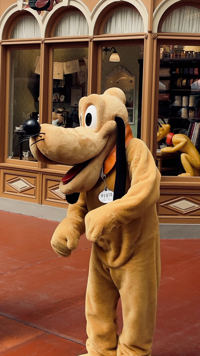 HappyPeko2's tweet photo. #東京ディズニーランド https://t.co/OgeCmJMa1e