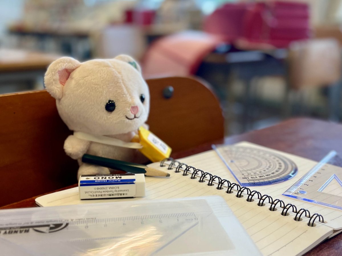 cocomoco_jp's tweet photo. 先週は #ぬいぐるみの学校 へ行ってきたよ！
小テスト満点だったから表彰してもらったよ💯✨
楽しかった〜！また登校できたら嬉しいな🎶 https://t.co/6cgo1ykeF1
